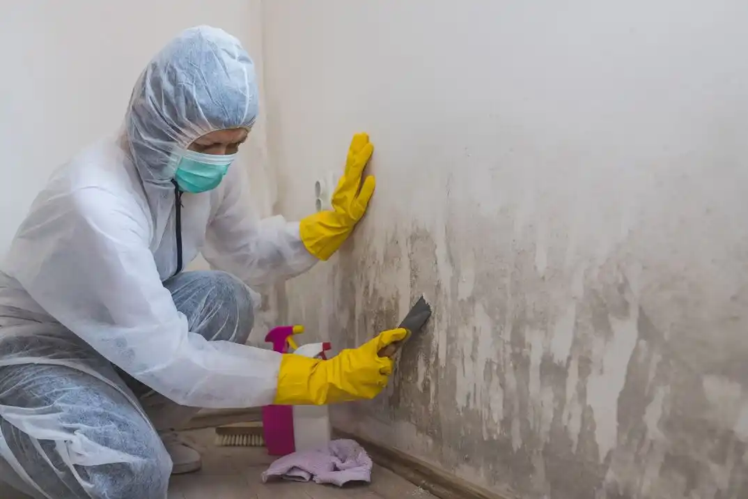 water damage restoration service Llyswen